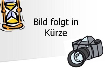 Ford Fiesta 125.000 km 4.990 &euro; Limbach-Oberfrohna 09212