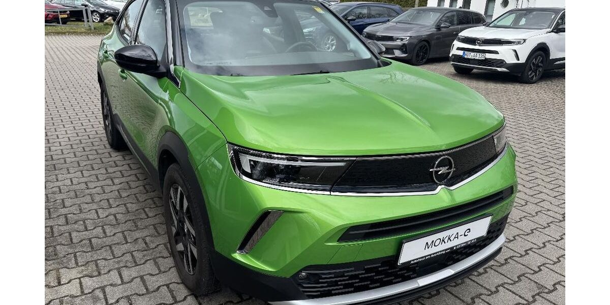Opel Mokka-e 44.760 km 14.490 &euro; Lichtenstein 09350
