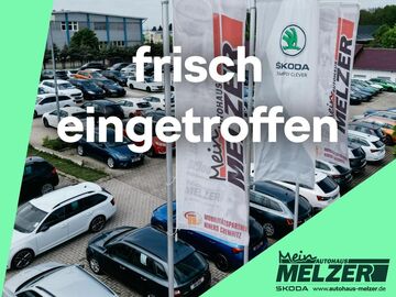 Gebrauchte Cupra Leon